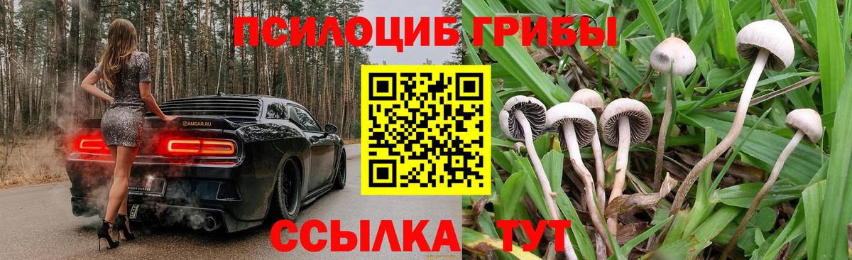 закладки  Галлюциногенные грибы MAGIC MUSHROOMS  Псилоцибиновые грибы мухоморы  Вход с VPN  Рассказово 